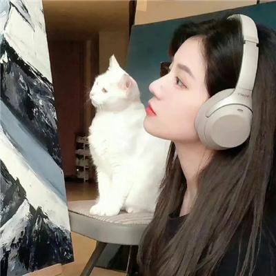 黑道风云